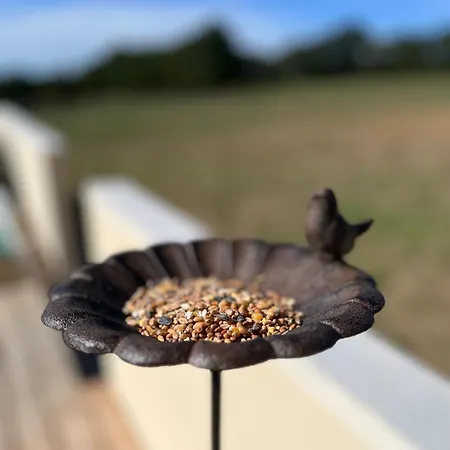 Σπίτι διακοπών A L'ombre Des Magnolias *