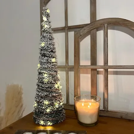 A L'ombre Des Magnolias