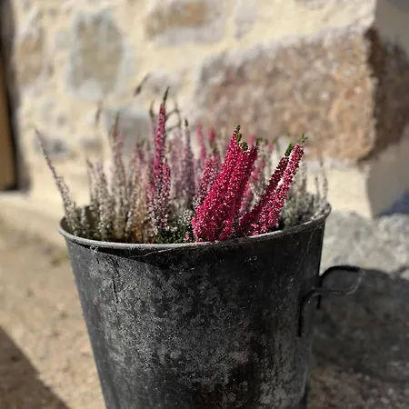 A L'ombre Des Magnolias Σπίτι διακοπών