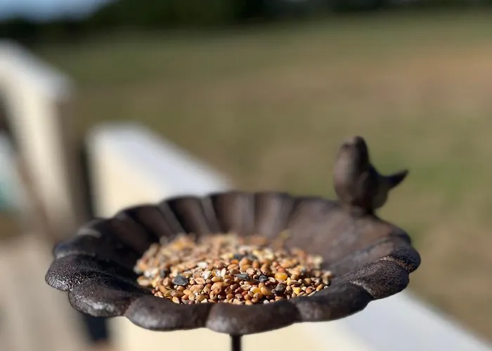 Сasa de vacaciones A L'ombre Des Magnolias *