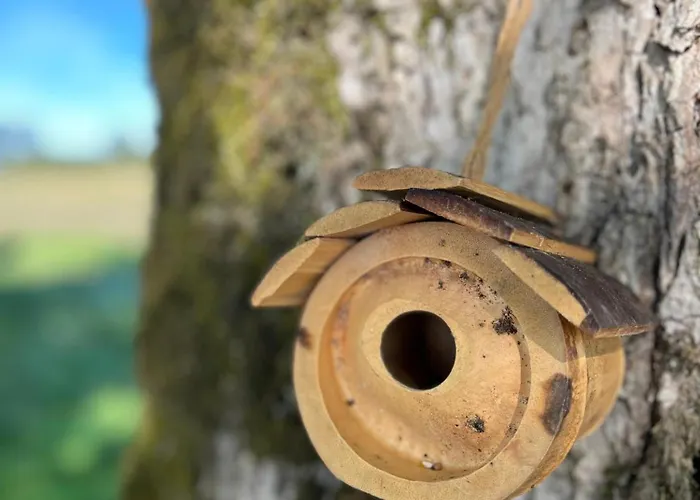 à L'ombre Des Magnolias Lesterps