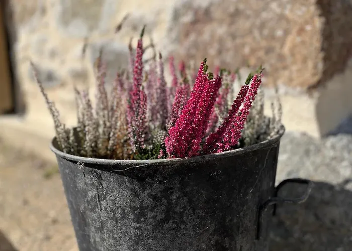 à L'ombre Des Magnolias Casa vacanze